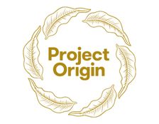 Demo Logo