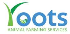 Demo Logo