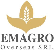 Demo Logo
